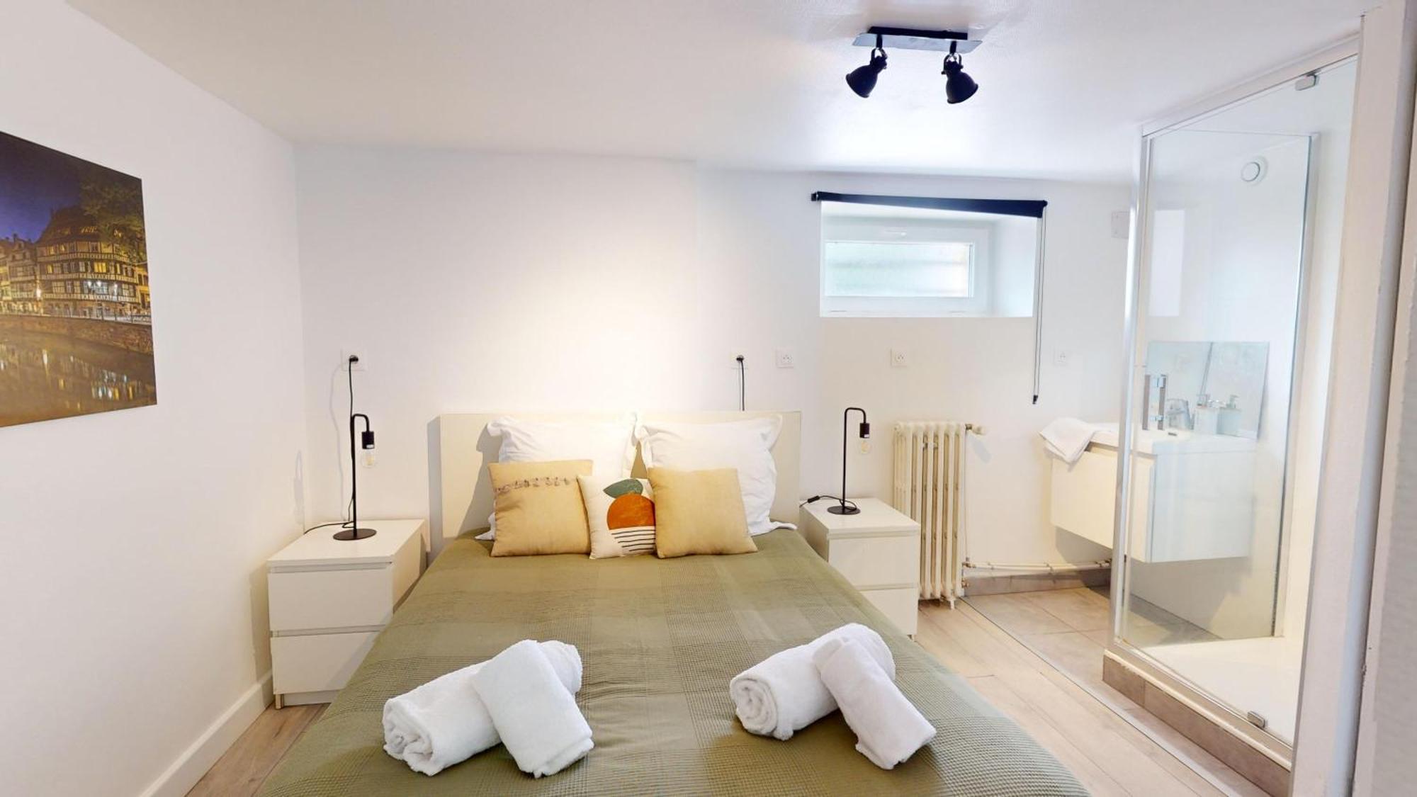 Les Appartements Du General Uhrich - Proche Parlement Strazburg Dış mekan fotoğraf