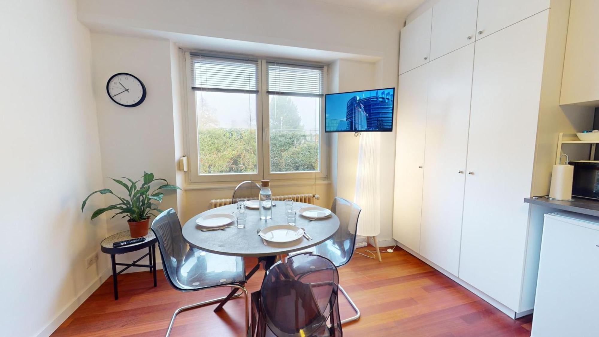 Les Appartements Du General Uhrich - Proche Parlement Strazburg Dış mekan fotoğraf