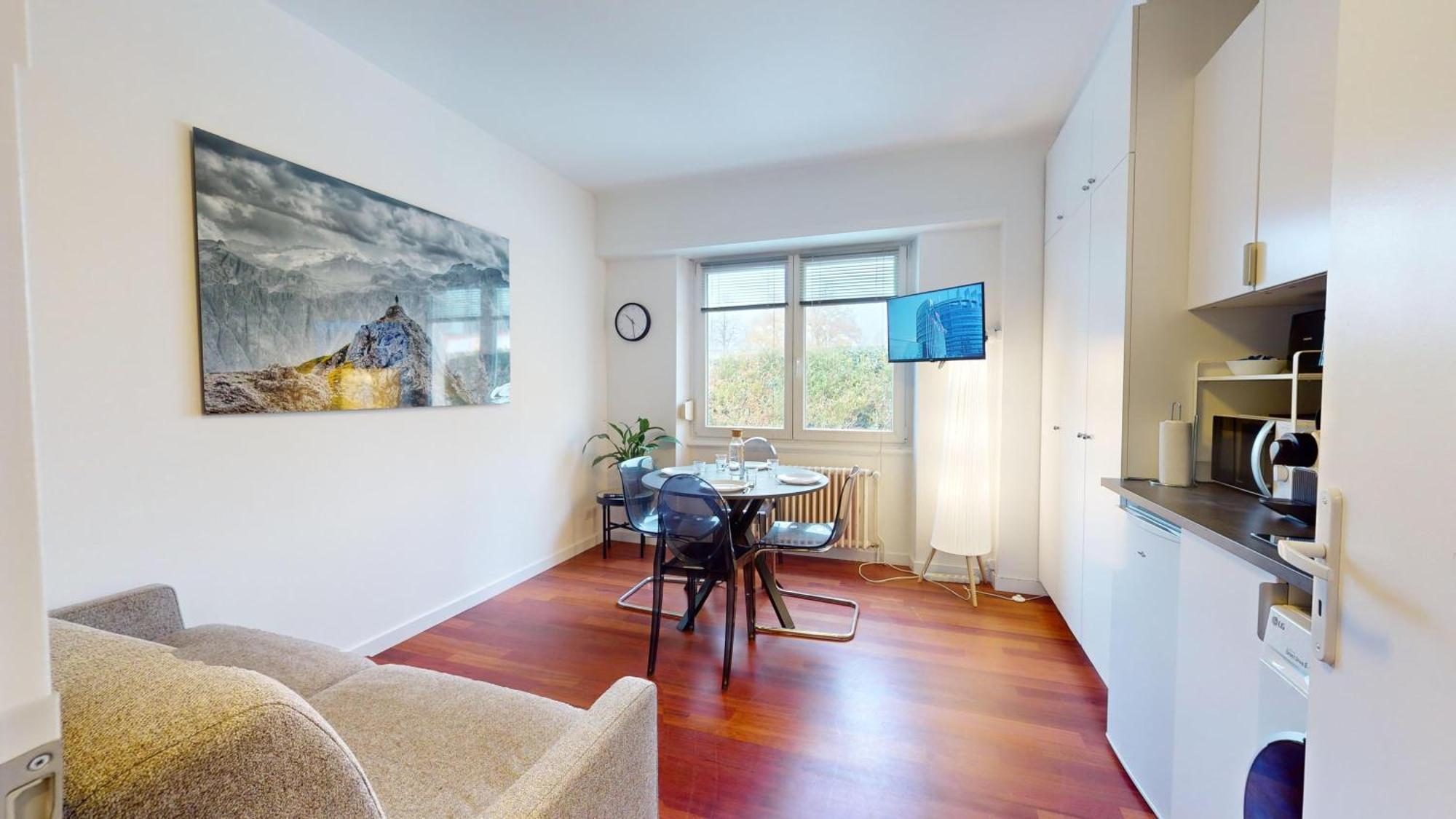 Les Appartements Du General Uhrich - Proche Parlement Strazburg Dış mekan fotoğraf